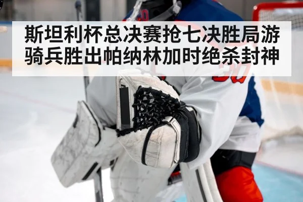 斯坦利杯总决赛抢七决胜局游骑兵胜出帕纳林加时绝杀封神