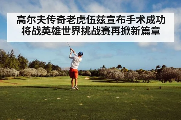 高尔夫传奇老虎伍兹宣布手术成功将战英雄世界挑战赛再掀新篇章
